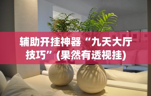 辅助开挂神器“九天大厅技巧”(果然有透视挂)