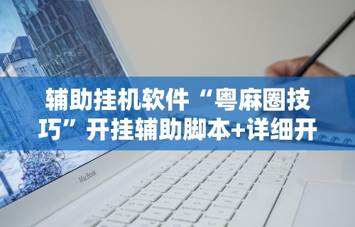 辅助挂机软件“粤麻圈技巧”开挂辅助脚本+详细开挂