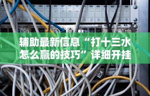 辅助最新信息“打十三水怎么赢的技巧	”详细开挂安装教程
