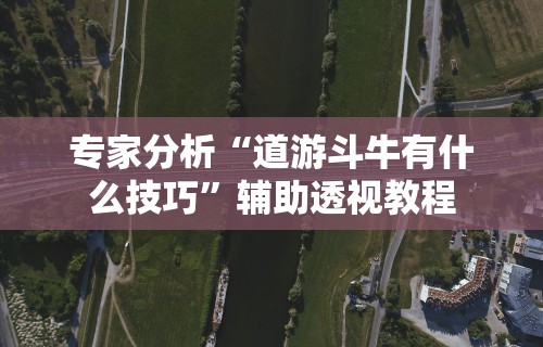 专家分析“道游斗牛有什么技巧	”辅助透视教程