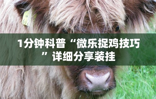 1分钟科普“微乐捉鸡技巧”详细分享装挂