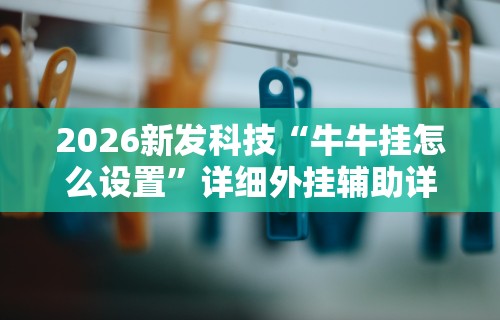 2026新发科技“牛牛挂怎么设置”详细外挂辅助详细教程