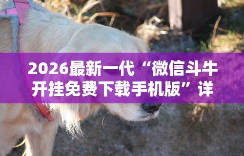 2026最新一代“微信斗牛开挂免费下载手机版”详细分享装挂步骤