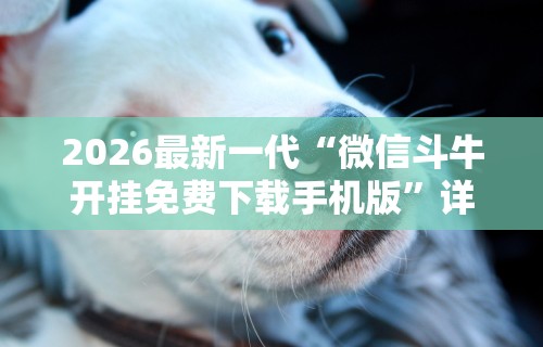 2026最新一代“微信斗牛开挂免费下载手机版”详细分享装挂步骤