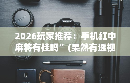 2026玩家推荐：手机红中麻将有挂吗	”(果然有透视挂)