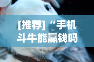 [推荐]“手机斗牛能赢钱吗	”(其实是有挂)