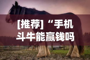 [推荐]“手机斗牛能赢钱吗”(其实是有挂)