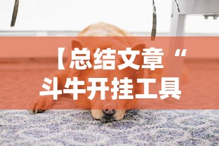 【总结文章“斗牛开挂工具哪个好用	”最新辅助详细教程