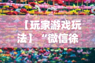 【玩家游戏玩法】“微信徐州麻将红中挂	”(原来确实是有挂)