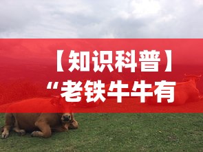【知识科普】“老铁牛牛有挂吗”开挂(透视)辅助教程
