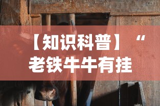 【知识科普】“老铁牛牛有挂吗”开挂(透视)辅助教程