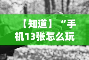 【知道】“手机13张怎么玩会赢	”(曝光透视必备猫腻)