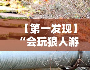 【第一发现】“会玩狼人游戏透视挂”通用版下载教程