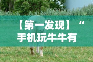 【第一发现】“手机玩牛牛有挂吗	”-开挂神器-包教包会