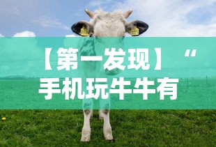 【第一发现】“手机玩牛牛有挂吗”-开挂神器-包教包会