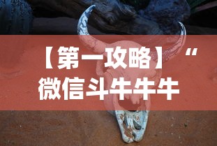 【第一攻略】“微信斗牛牛牛群有挂吗	”(详细透视教程)-知乎