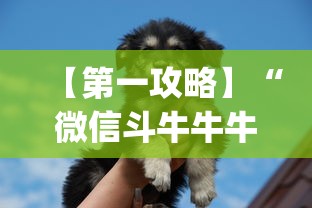 【第一攻略】“微信斗牛牛牛群有挂吗	”(详细透视教程)-知乎