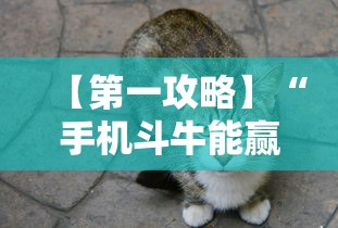 【第一攻略】“手机斗牛能赢钱吗”确实可以使用辅助