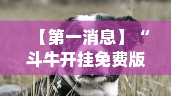 【第一消息】“斗牛开挂免费版最新版本更新内容	”(助赢详细开挂教程)
