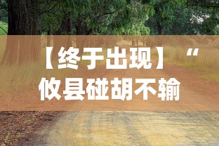 【终于出现】“攸县碰胡不输的技巧	”(果然有透视挂)