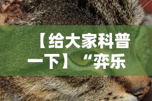 【给大家科普一下】“弈乐麻将外卦神器下载安装”详细外挂安装步骤