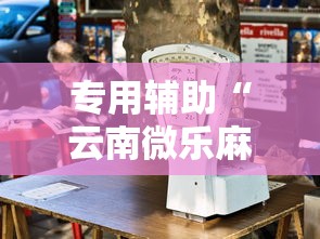 专用辅助“云南微乐麻将开挂神器下载	”开挂辅助教程