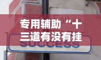 专用辅助“十三道有没有挂车的”详细辅助教程分享