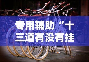 专用辅助“十三道有没有挂车的”详细辅助教程分享