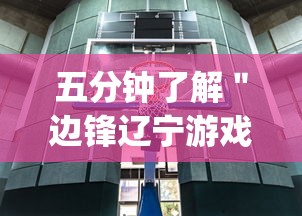 五分钟了解＂边锋辽宁游戏有挂吗”(果然有透视挂)