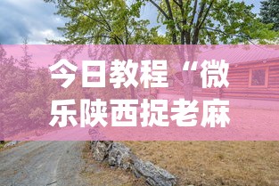 今日教程“微乐陕西捉老麻子技巧”(太坑了果然有挂)