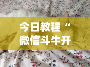 今日教程“微信斗牛开挂免费下载安装？_游戏_玩家_工具