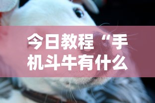今日教程“手机斗牛有什么规律吗	”有挂详细开挂教程