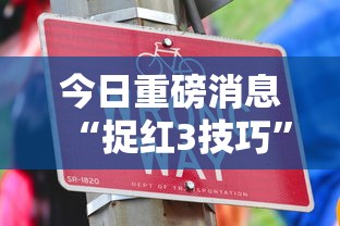 今日重磅消息“捉红3技巧”通用版下载教程