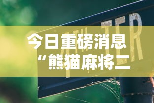 今日重磅消息“熊猫麻将二人怎么开挂!详细开挂教程