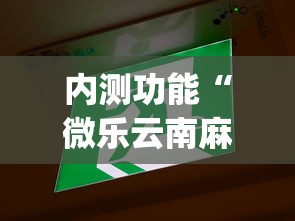内测功能“微乐云南麻将为什么一直输”(详细开挂教程)