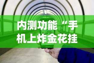 内测功能“手机上炸金花挂	”(透视)其实确实有挂