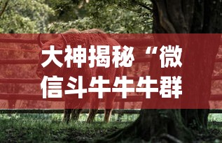 大神揭秘“微信斗牛牛牛群有挂吗(透视)”开挂(透视)辅助教程
