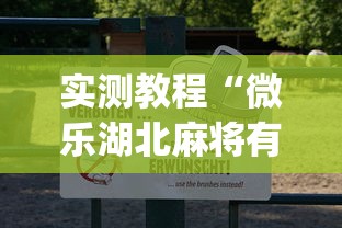 实测教程“微乐湖北麻将有挂吗”(透视挂)辅助透视教程