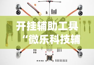 开挂辅助工具“微乐科技辅助器(免费)	”附透视挂详细教程