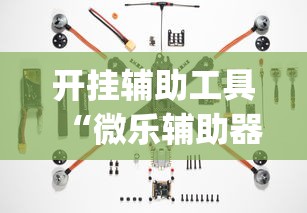开挂辅助工具“微乐辅助器下载”(透视)其实确实有挂