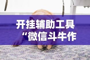 开挂辅助工具“微信斗牛作弊软件”开挂安装教程