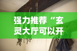 强力推荐“玄灵大厅可以开挂吗[分享装挂详细步骤]